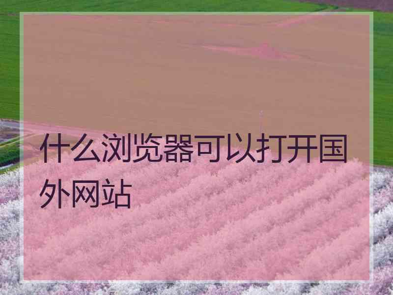 什么浏览器可以打开国外网站