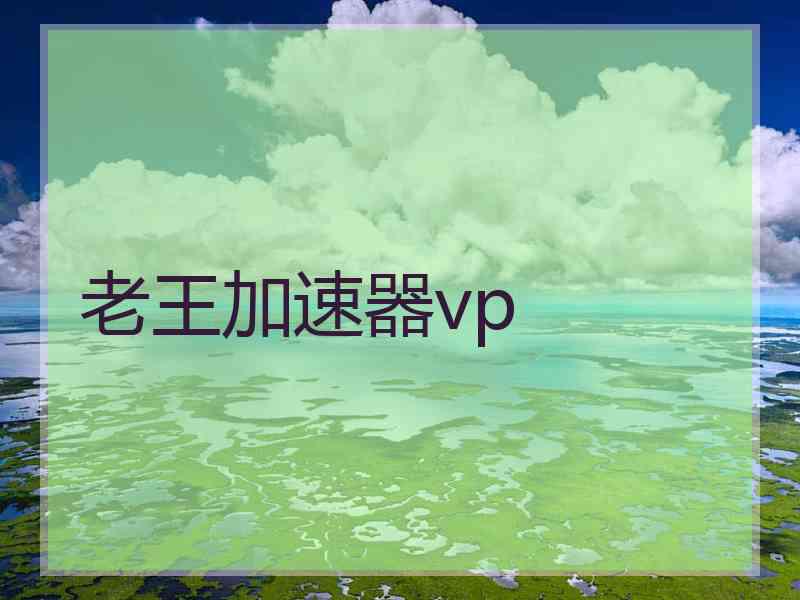 老王加速器vp