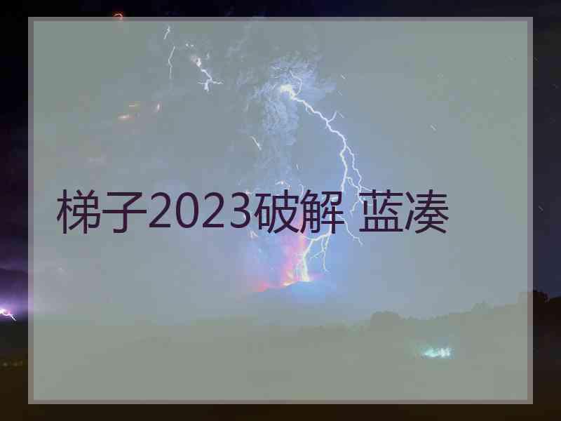 梯子2023破解 蓝凑