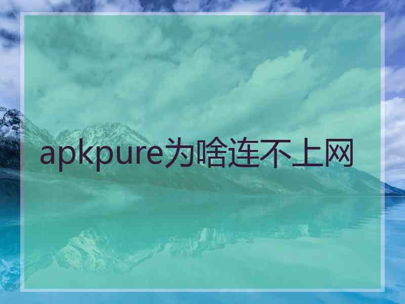 apkpure为啥连不上网