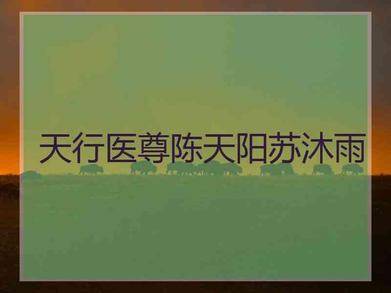 天行医尊陈天阳苏沐雨