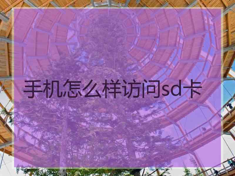 手机怎么样访问sd卡