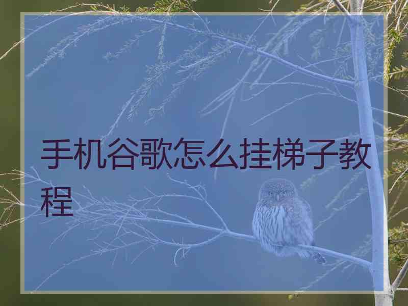 手机谷歌怎么挂梯子教程