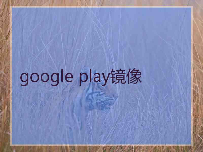 google play镜像