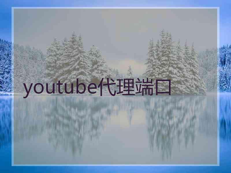 youtube代理端口