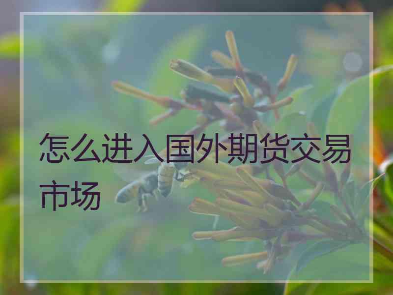 怎么进入国外期货交易市场