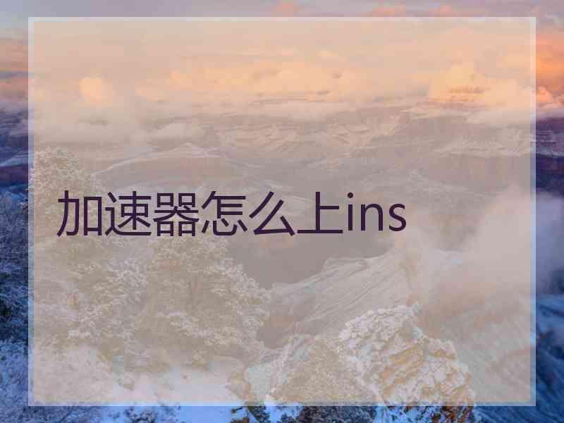 加速器怎么上ins