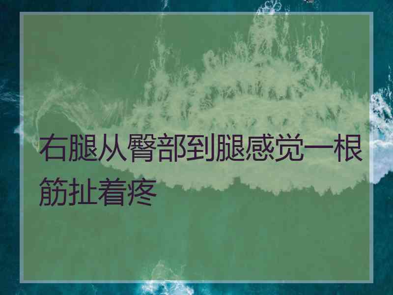 右腿从臀部到腿感觉一根筋扯着疼