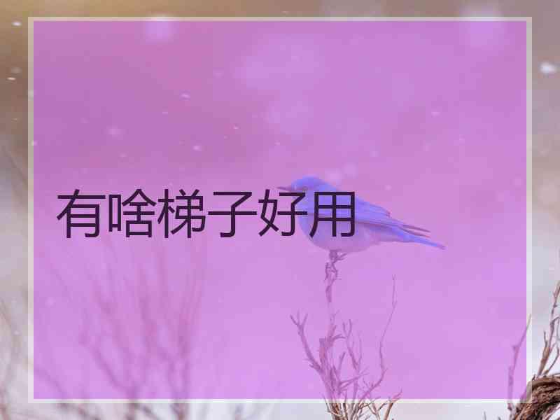 有啥梯子好用
