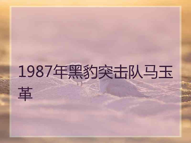 1987年黑豹突击队马玉革