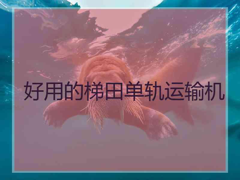 好用的梯田单轨运输机