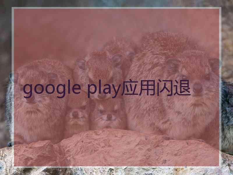 google play应用闪退