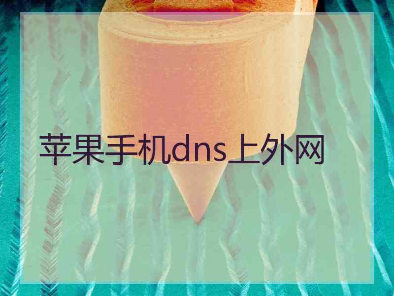 苹果手机dns上外网