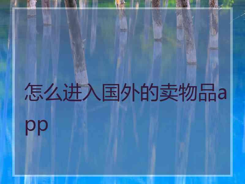 怎么进入国外的卖物品app