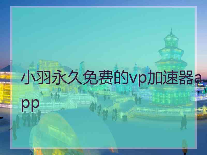 小羽永久免费的vp加速器app