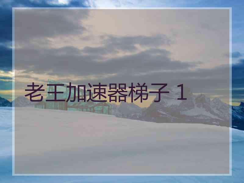 老王加速器梯子 1