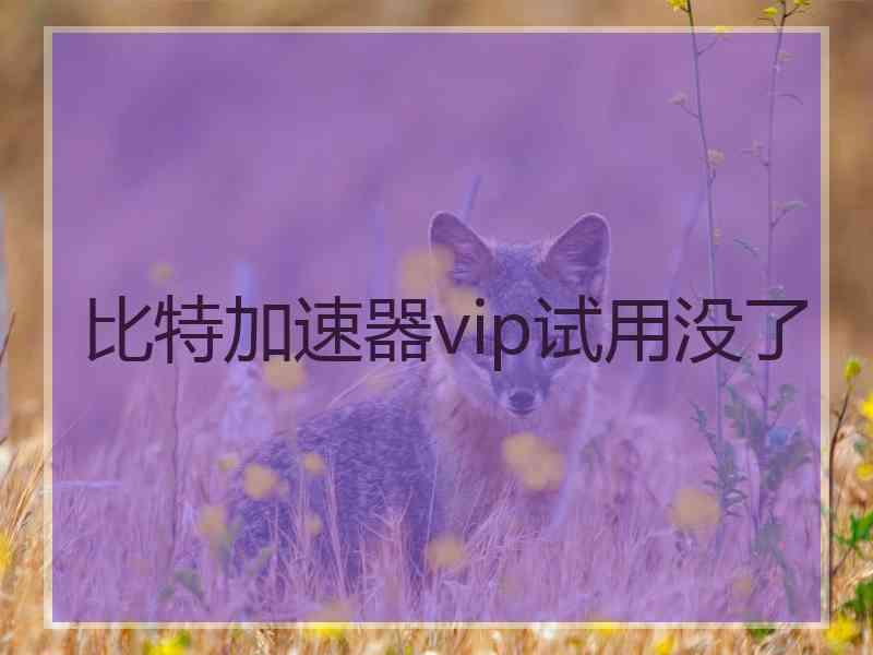 比特加速器vip试用没了