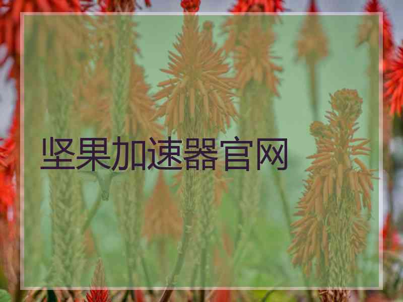 坚果加速器官网