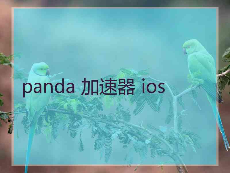 panda 加速器 ios