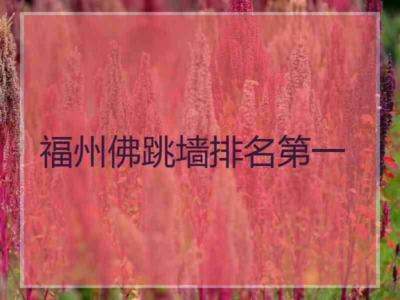 福州佛跳墙排名第一