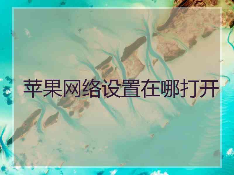 苹果网络设置在哪打开