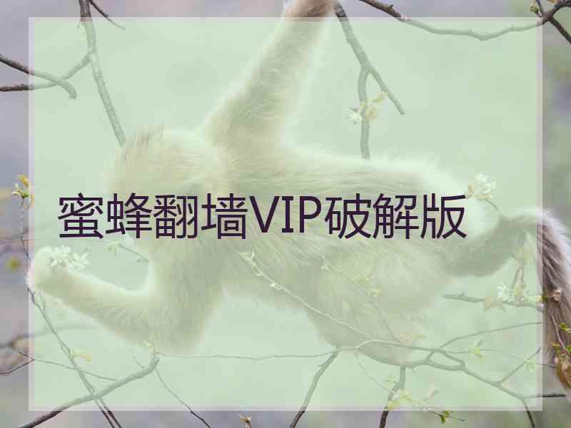 蜜蜂翻墙VIP破解版