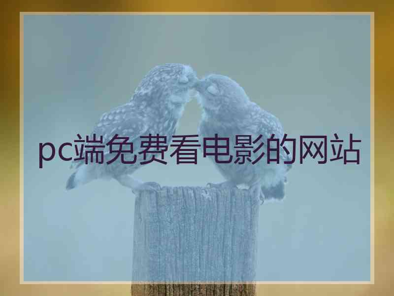 pc端免费看电影的网站