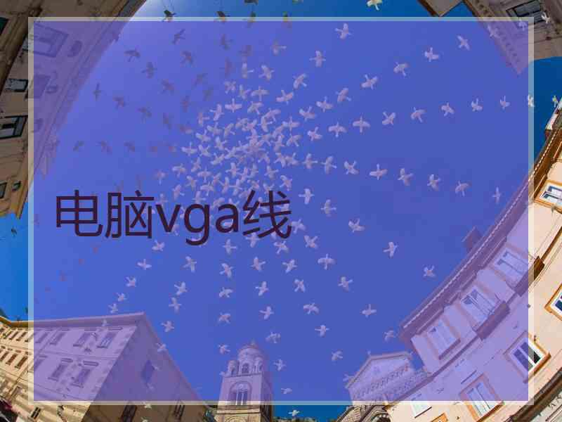 电脑vga线