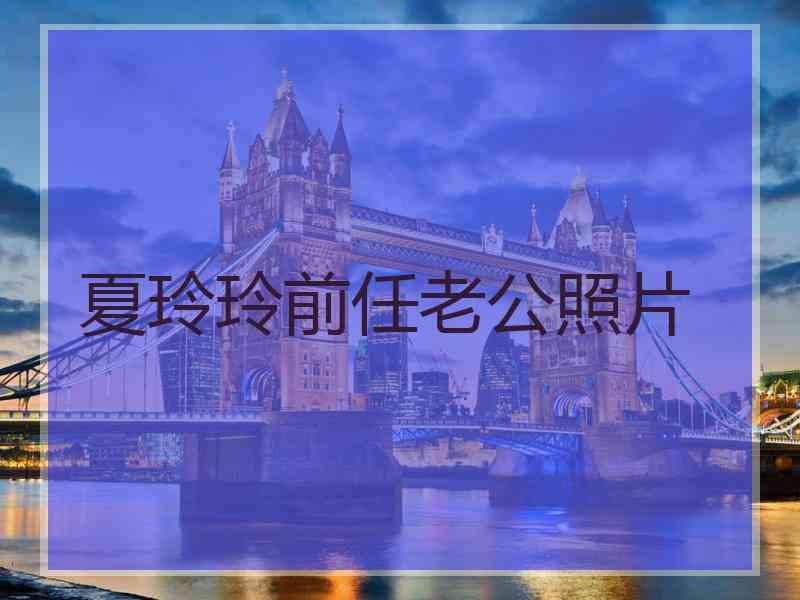 夏玲玲前任老公照片