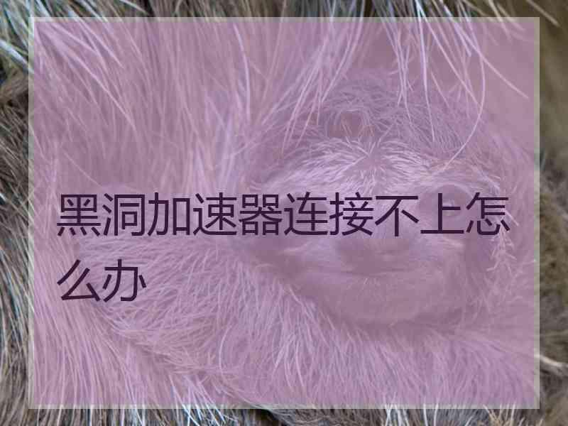 黑洞加速器连接不上怎么办