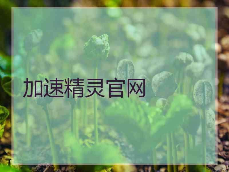 加速精灵官网