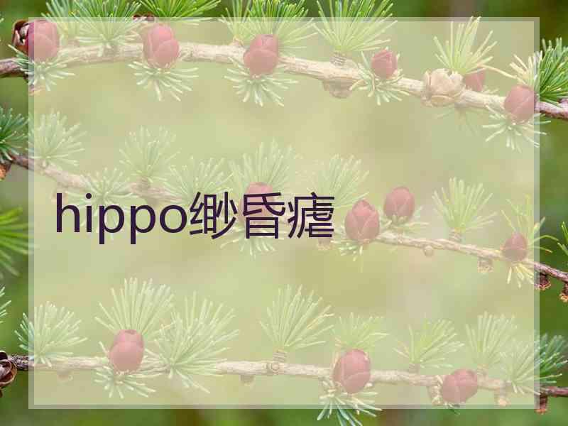 hippo缈昏瘧