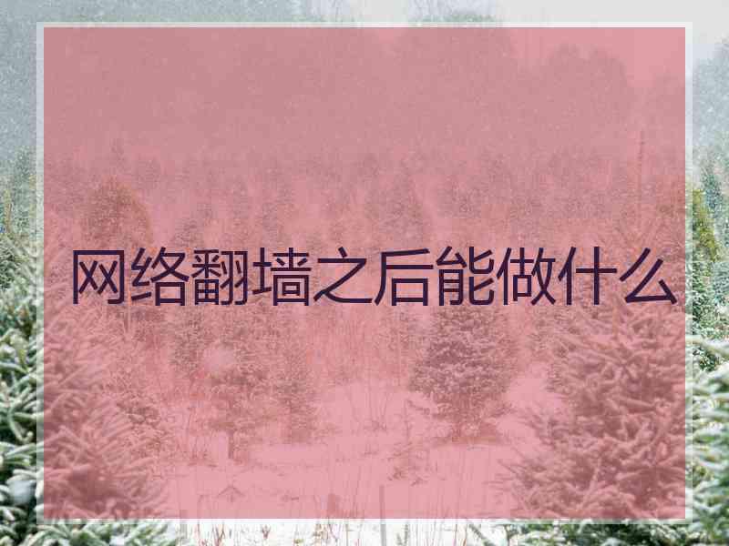 网络翻墙之后能做什么