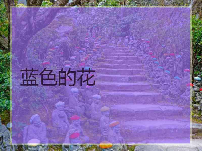 蓝色的花