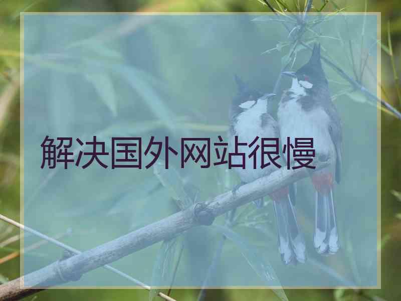 解决国外网站很慢