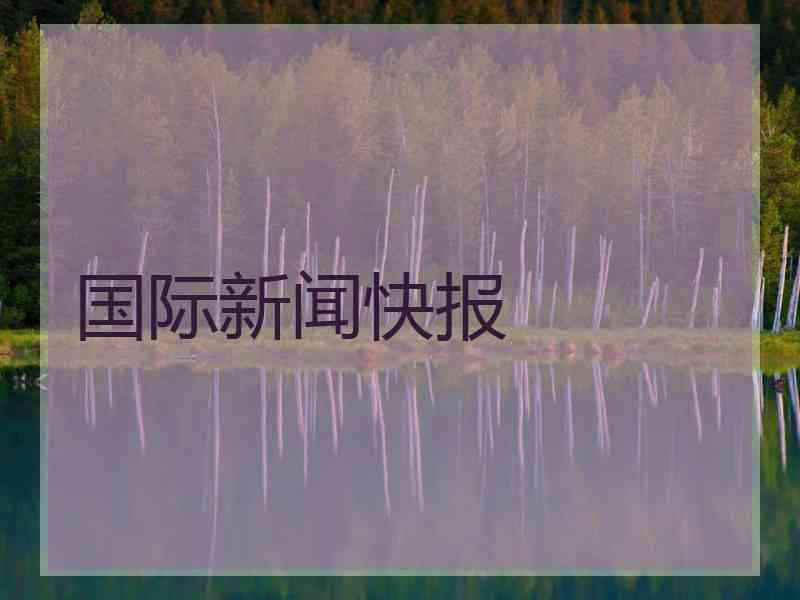 国际新闻快报