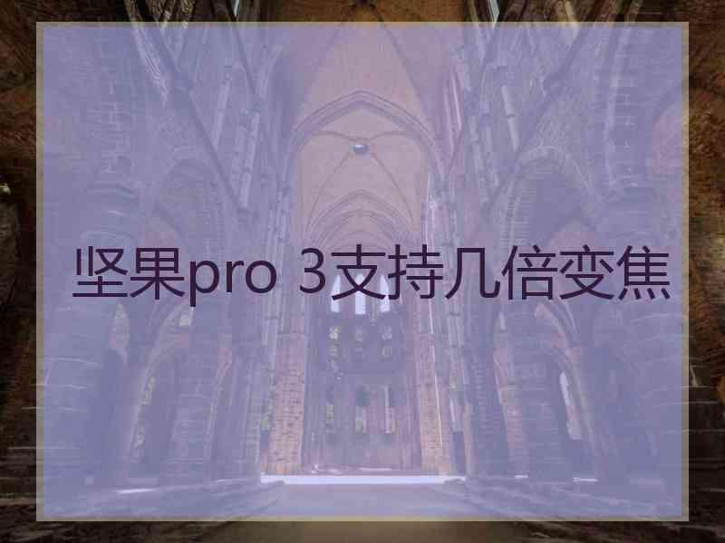 坚果pro 3支持几倍变焦