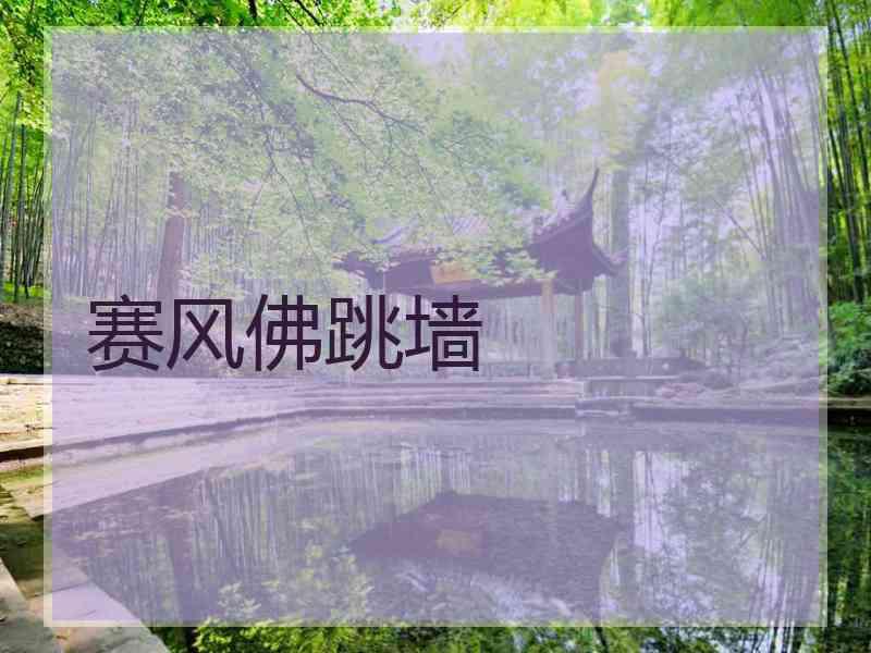 赛风佛跳墙