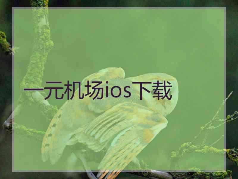 一元机场ios下载