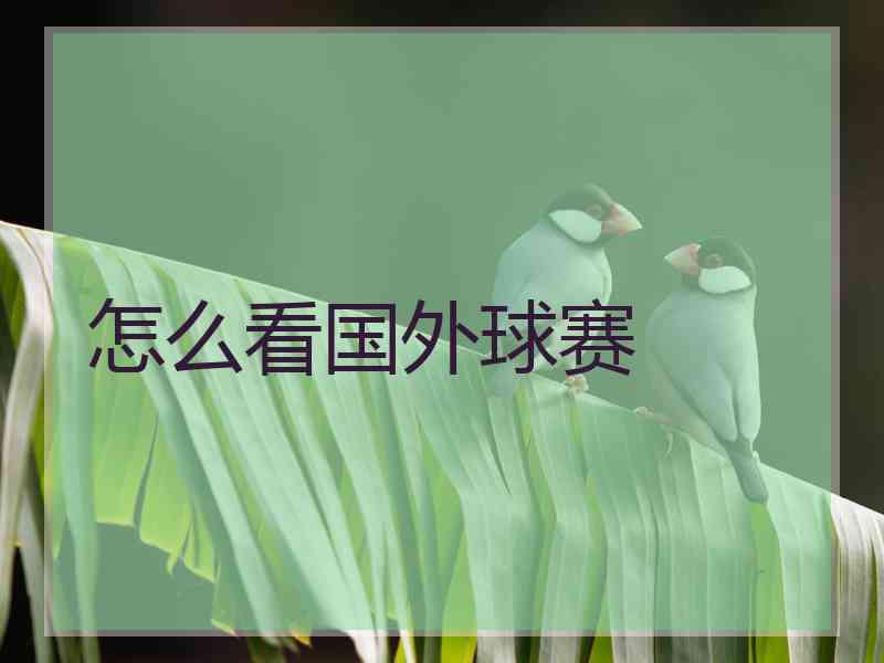 怎么看国外球赛