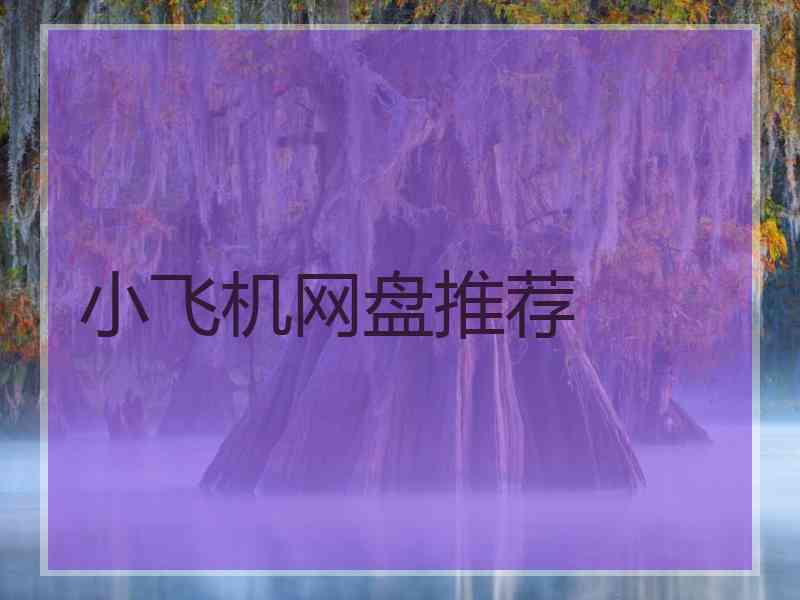小飞机网盘推荐