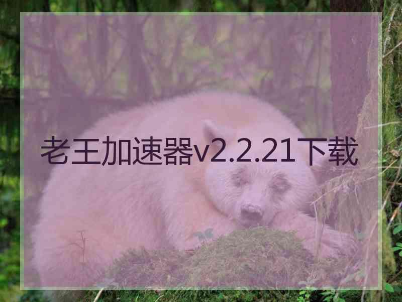 老王加速器v2.2.21下载