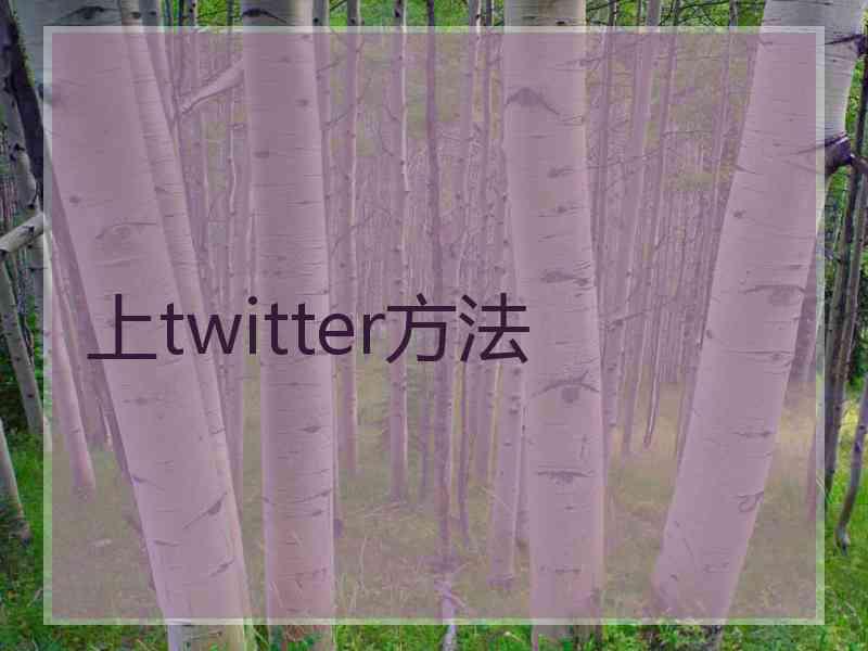 上twitter方法