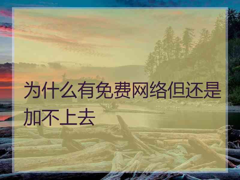 为什么有免费网络但还是加不上去