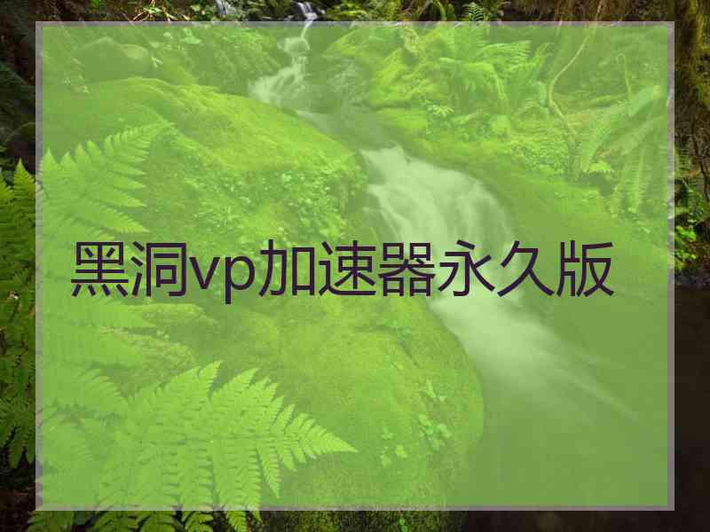 黑洞vp加速器永久版