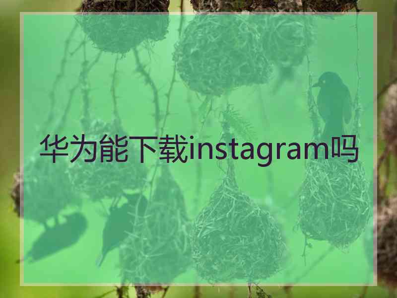 华为能下载instagram吗