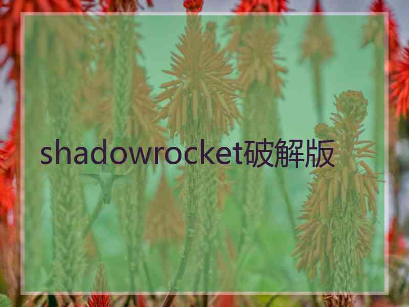 shadowrocket破解版