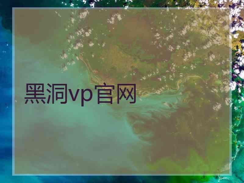 黑洞vp官网