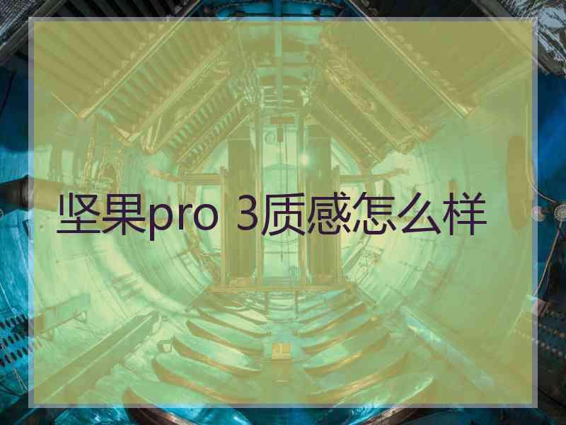 坚果pro 3质感怎么样