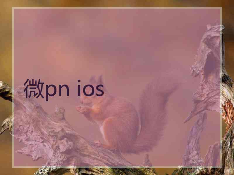 微pn ios